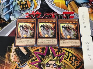 ワルキューレ・エルダ EP19 4 レア 3枚セット てら