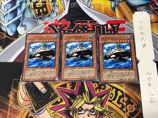 Orca Mega-Fortress of Darkness 307 4 rare, set of 3 Tera.