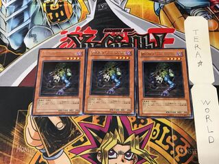 Shadowslayer FET 1 rare, set of 3 Tera.