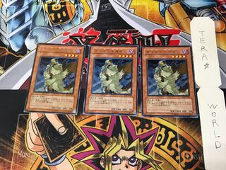 D.D. Survivor EE3 4 Rare Set of 3 Tera.