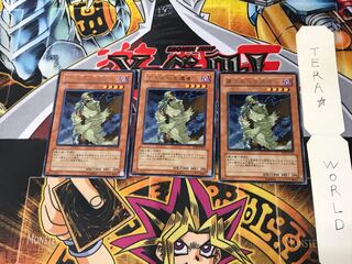 D.D. Survivor TLM 1 rare, set of 3 Tera.