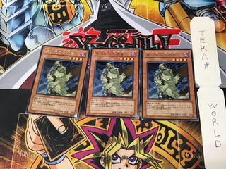 D.D. Survivor TLM 2 rare, set of 3 Tera.