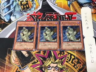 D.D. Survivor TLM 3 rare, set of 3 Tera.