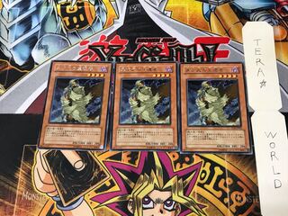 D.D. Survivor TLM 5 rare, set of 3 Tera.