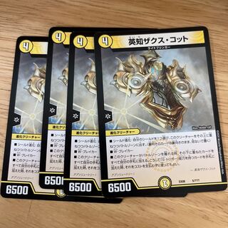 Eich Zaks Cotto 5/????????????