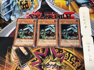 King Tiger Wanghu DL5 1 rare set of 3 tera