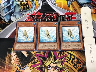 Treeborn Frog SOI 5 Rare Set of 3 Tera.