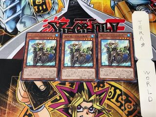 Umi Zouzou - White Bearded Engineer WPP1 1 Rare 3-card set Tera