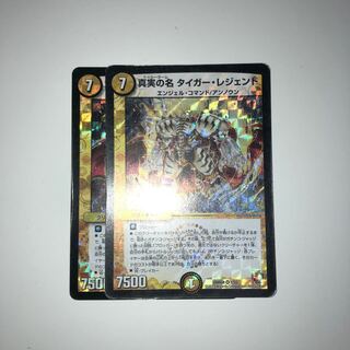 真実の名 タイガーレジェンド