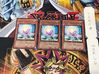 救世竜 セイヴァー・ドラゴン SOVR 2 レア 3枚セット てら