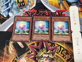 救世竜 セイヴァー・ドラゴン SOVR 4 レア 3枚セット てら