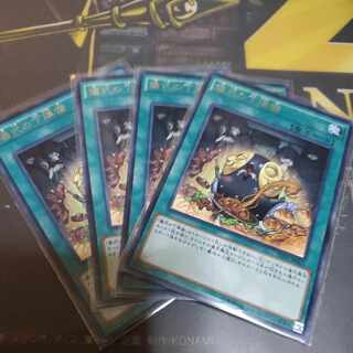 Pre-Preparation of Rites Rare JP065