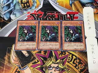 Witch of the Black Forest DL4 1 rare, set of 3 Tera.