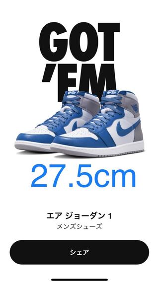 ナイキ エアジョーダン1 ハイ OG "トゥルーブルー" トゥルーブルー/ホワイト/セメントグレー DZ5485-410 27.5cm