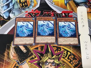 Lappis Dragon SAST 3 rare, set of 3 Tera.