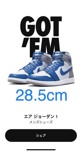 ナイキ エアジョーダン1 ハイ OG "トゥルーブルー" トゥルーブルー/ホワイト/セメントグレー DZ5485-410 28.5cm
