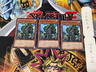 森羅の賢樹 シャーマン PRIO 1 レア 3枚セット てら