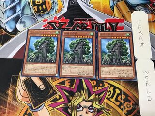 森羅の賢樹 シャーマン PRIO 4 レア 3枚セット てら