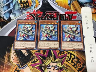 Water Seiryo - Megaloabis LVP1 1 Rare Set of 3 Tera