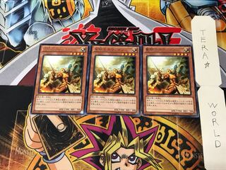 Noble Knight Gawayn EP13 5 Rare Set of 3 Tera.