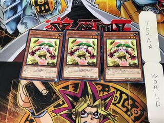 Prediction Princess Coinorma CPD1 2 Rare Set of 3 Tera