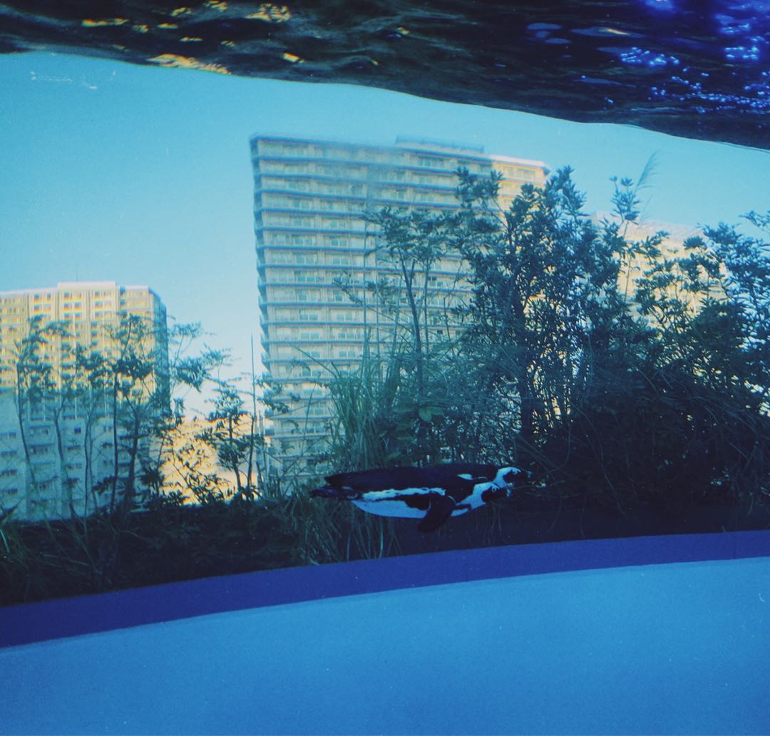 るいんさん専用