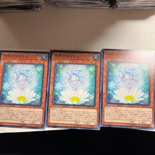 Rikka Petal Normal JP014