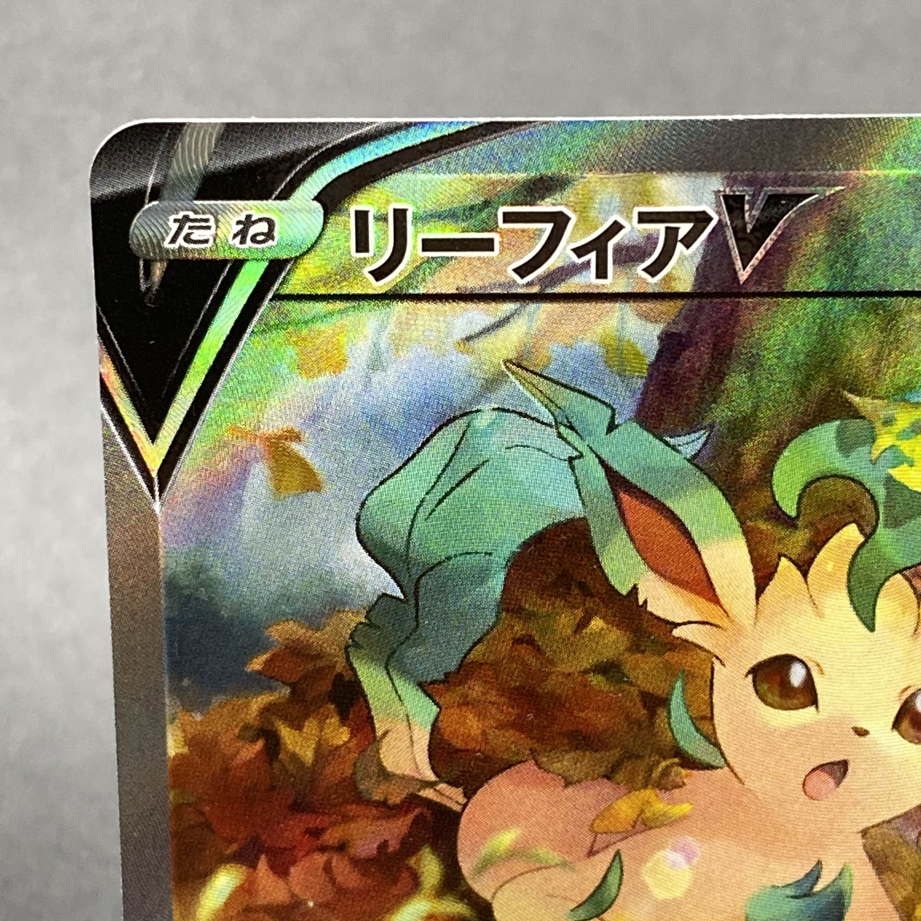 LeafeonV SR SA 071/069