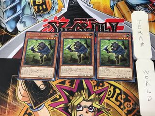 Iron Hans CP18 2 rare, set of 3 Tera.