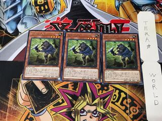 Iron Hans CP18 4 rare, set of 3 Tera.