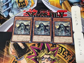 Crusadia Maximus CYHO 1 rare, set of 3 Tera.