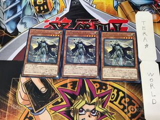 Crusadia Maximus CYHO 4 rare, set of 3 Tera.