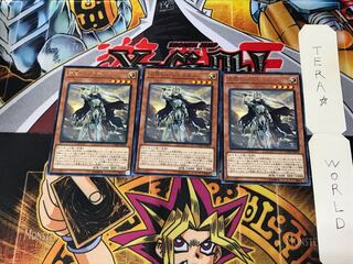 Crusadia Maximus CYHO 5 rare, set of 3 Tera.