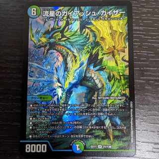 Meteor Gaiach Kaiser SR 21/138