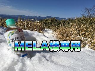 red mono-ego gaiard brand