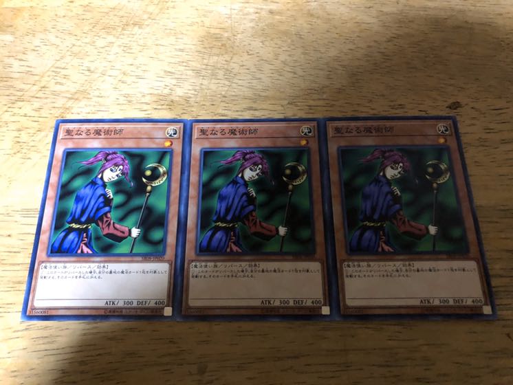 【ダボハゼ】聖なる魔術師