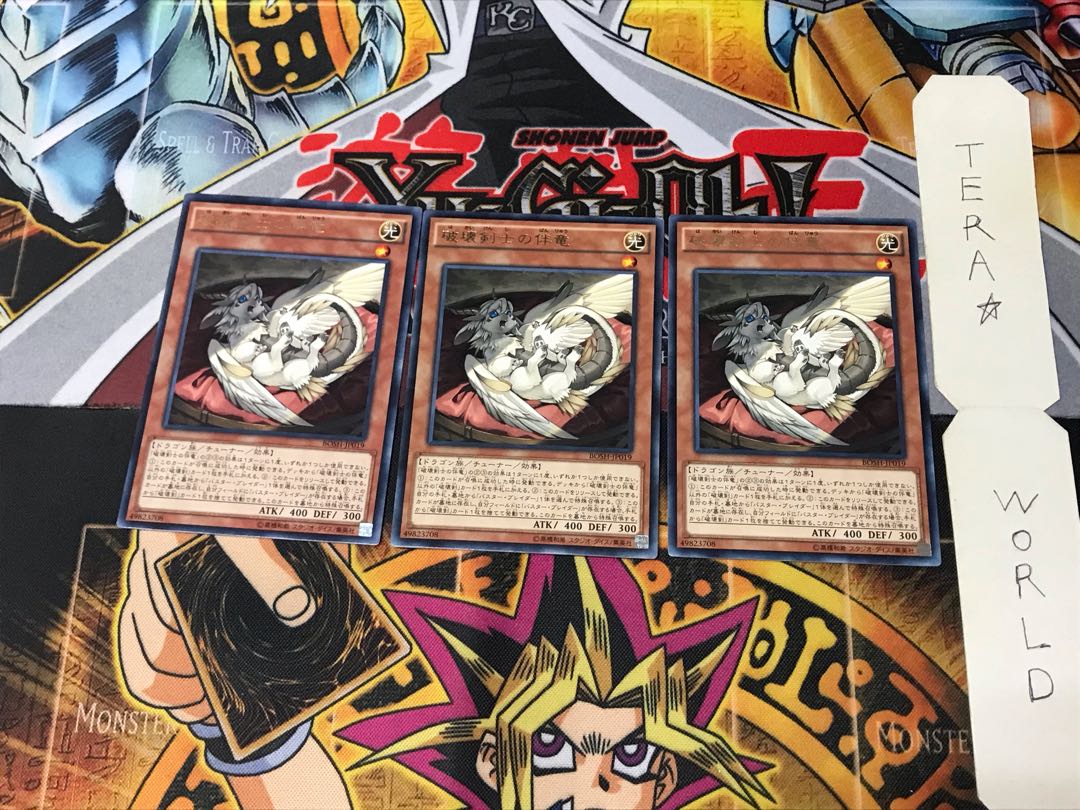 Buster Whelp of the Destruction Swordsman BOSH 1 rare set of 3 tera