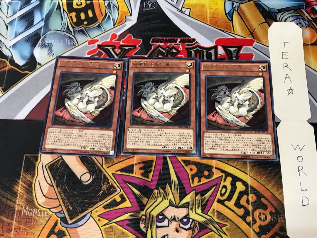 Buster Whelp of the Destruction Swordsman BOSH 4 Rare Set of 3 Tera.