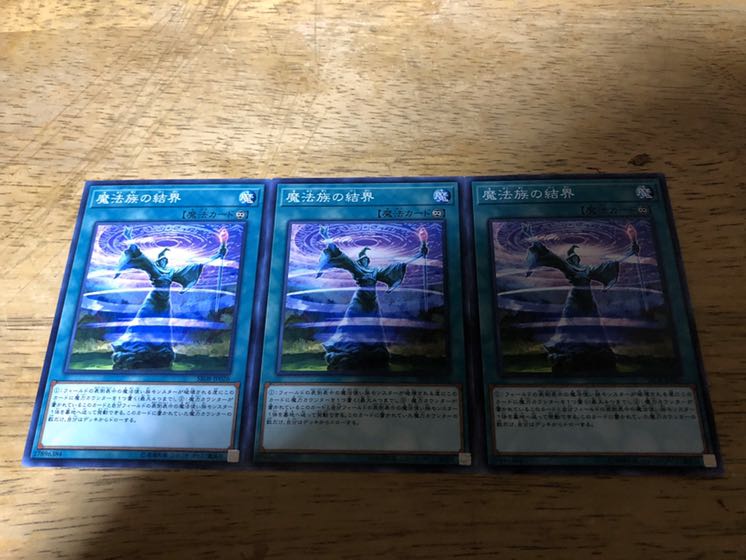 【ダボハゼ】魔法族の結界