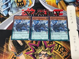 Secret Dragon Star - Sephiroshiugo CROS 2 rare, set of 3 Tera.