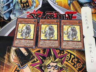 Crystal Beast Topaz Tiger FOTB 3 Rare Set of 3 Tera