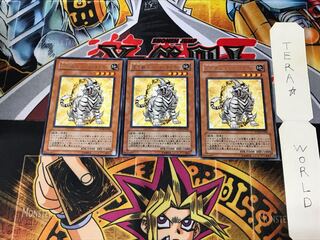 Crystal Beast Topaz Tiger FOTB 5 Rare Set of 3 Tera