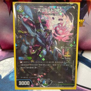 Natural disaster Dedam cs.