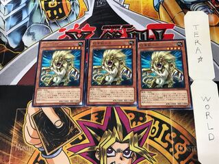 Heraldic Beast Leo CBLZ 1 rare, set of 3 Tera.