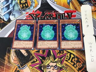 Nikitama LVAL 2 Rare, set of 3 Tera.