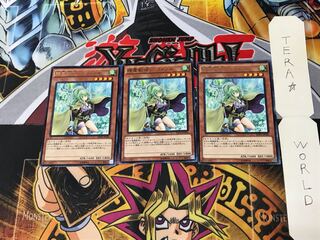 Spiritual Beast Tamer Winda RATE 1 Rare Set of 3 Tera