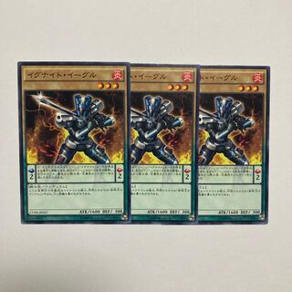 Igknight Crusader Normal JP027