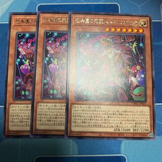 Death Dealer of Terrifying Paradise ＜Arlechino＞ Rare JP023