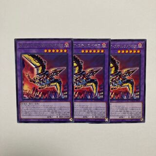 Dynorphia stealthbegia rare JP039