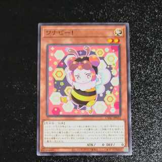 WANABY! Normal rare JP031 [Korindo].